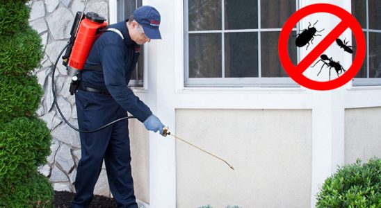 Suruç Hamam Böceği İlaçlama böcek ilaçlama ve haşere kontrolü — ilaclama-tr.com